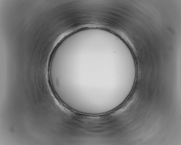 X0000111190845200907011007
