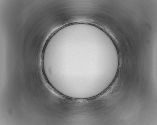 X0000111190848200907011007
