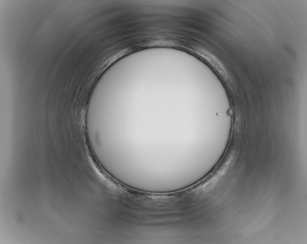 X0000111190849200907011007