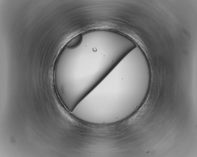 X0000111190850200907011007