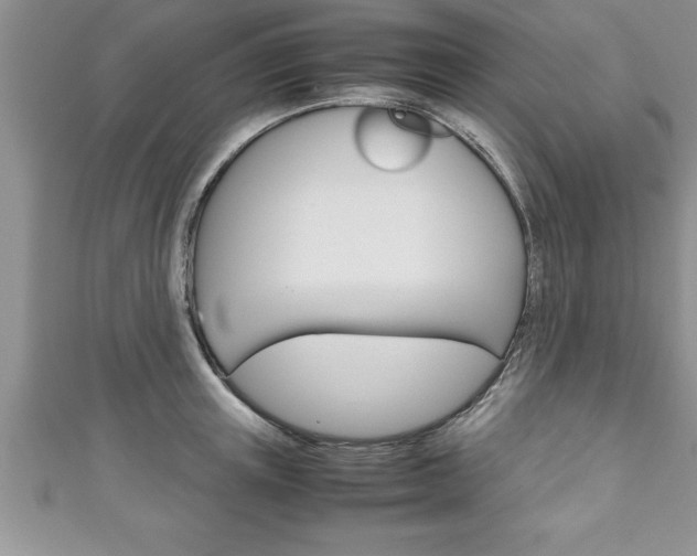 X0000111190851200907011007