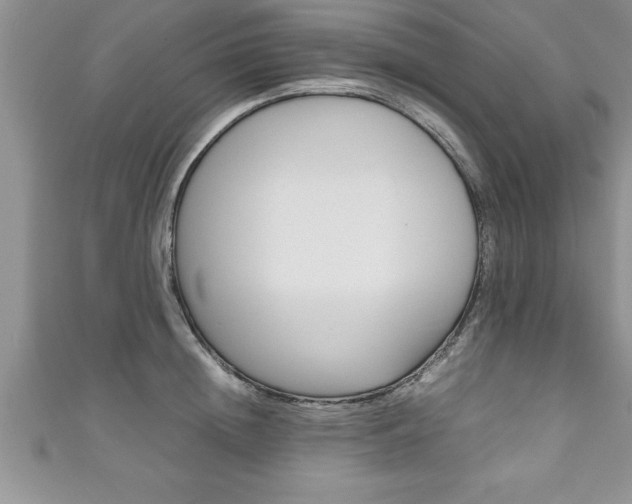 X0000111190852200907011007