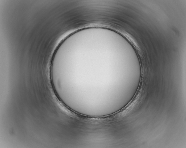 X0000111190854200907011007