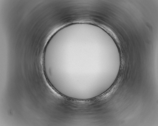 X0000111190855200907011007