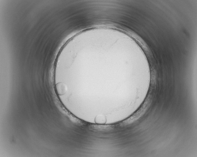 X0000111190856200907011007