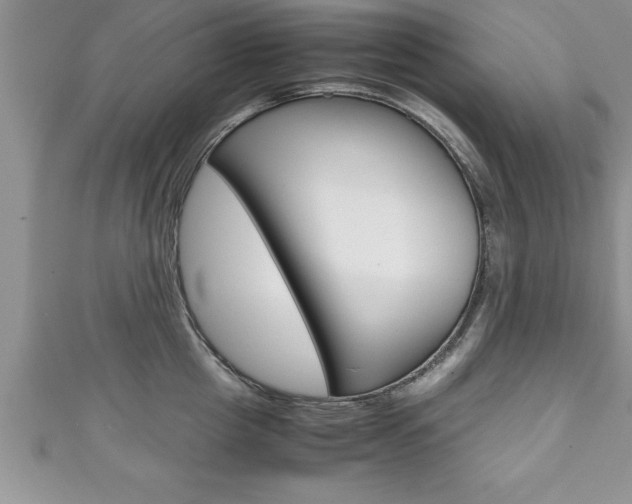 X0000111190857200907011007