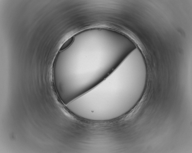X0000111190858200907011007