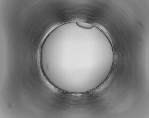 X0000111190859200907011008