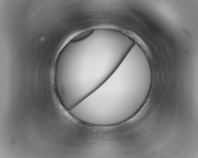 X0000111190860200907011008