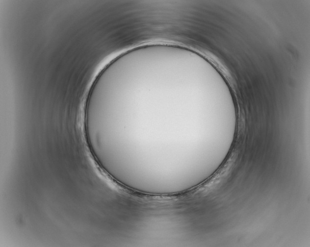 X0000111190862200907011008