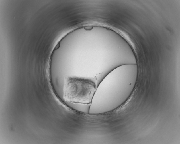 X0000111190863200907011008