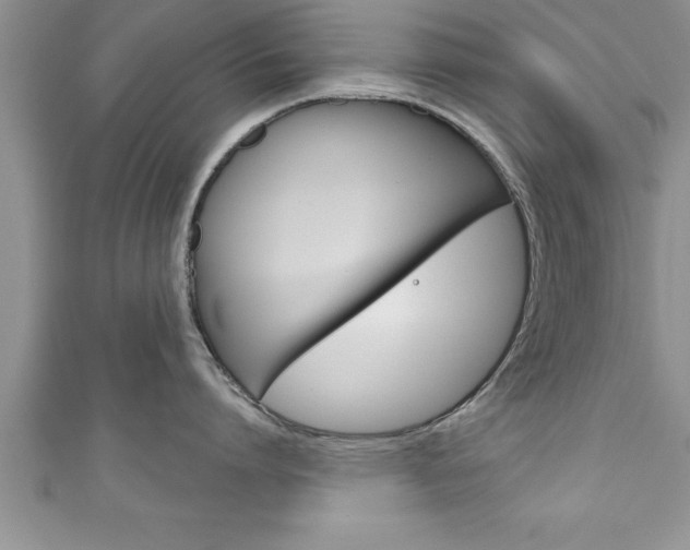 X0000111190864200907011008
