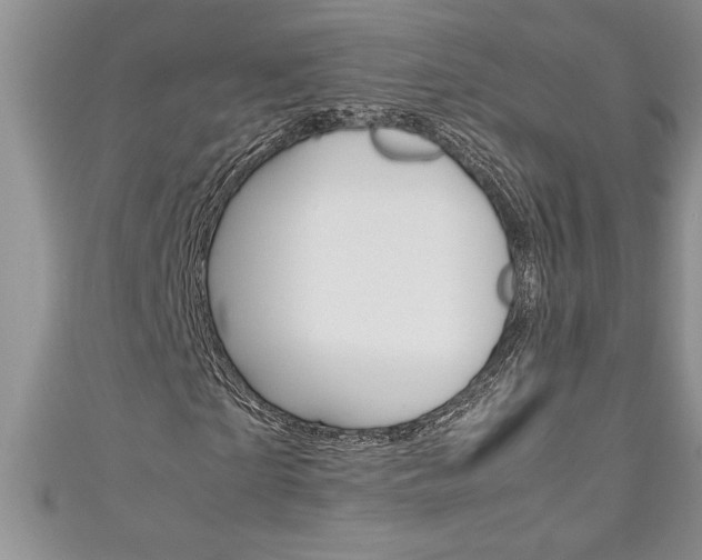 X0000111190865200907011007
