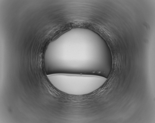 X0000111190868200907011007