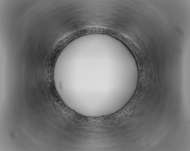 X0000111190870200907011007
