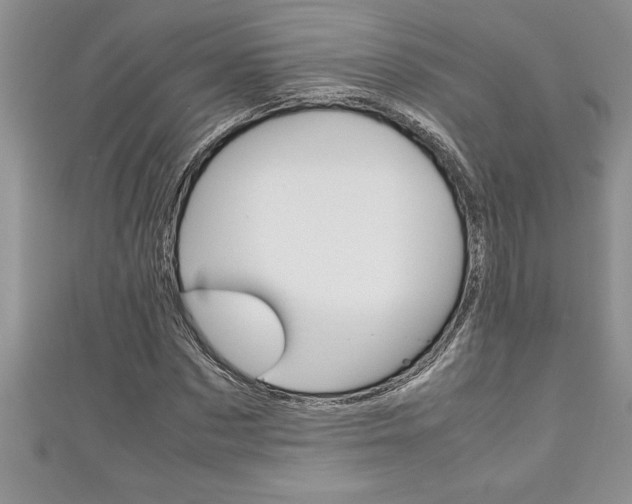 X0000111190873200907011007