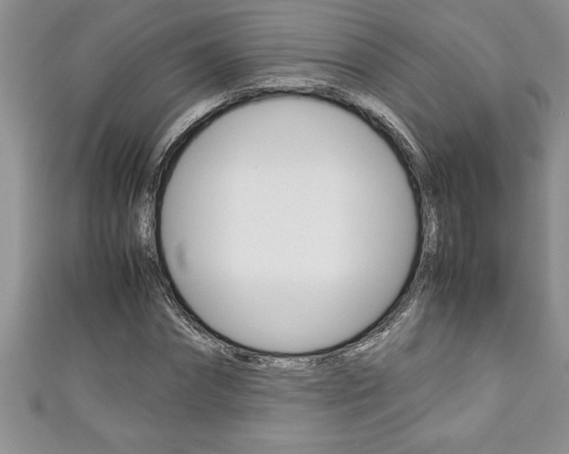 X0000111190874200907011007