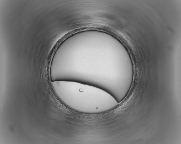 X0000111190875200907011007