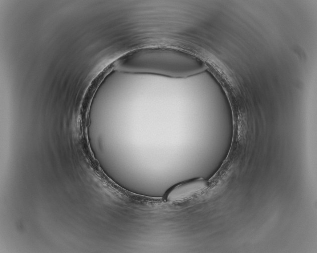 X0000111190876200907011007
