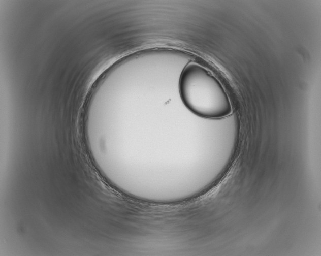 X0000111190877200907011007