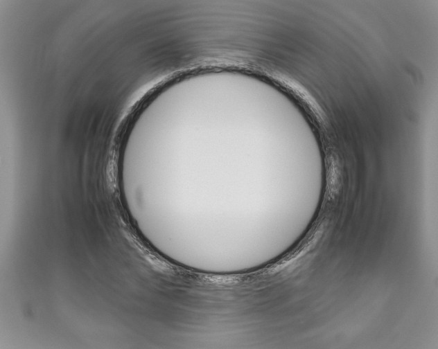 X0000111190878200907011007