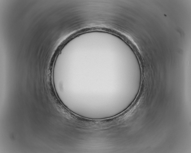 X0000111190879200907011007