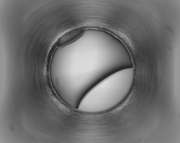 X0000111190880200907011007