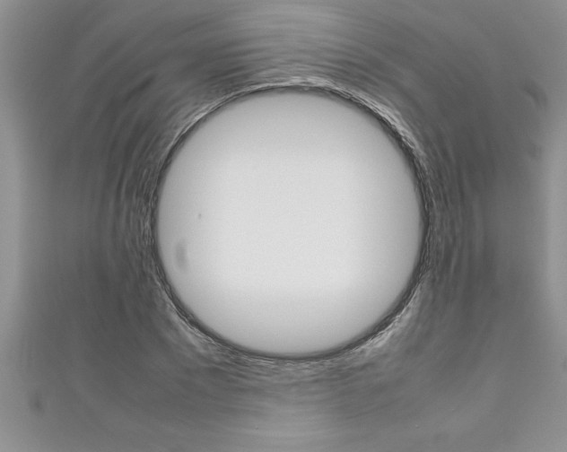 X0000111190881200907011007