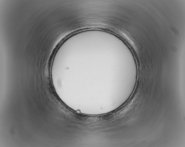 X0000111190883200907011007