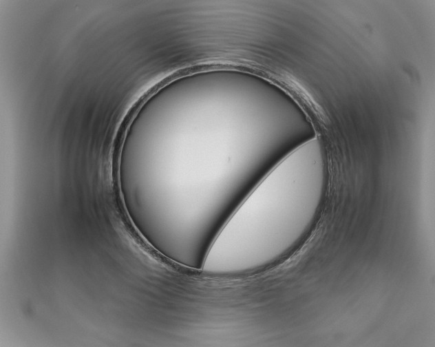 X0000111190884200907011007