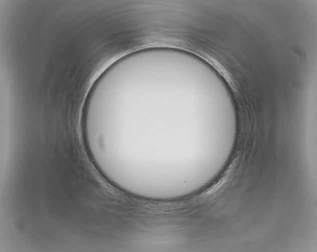 X0000111190885200907011007