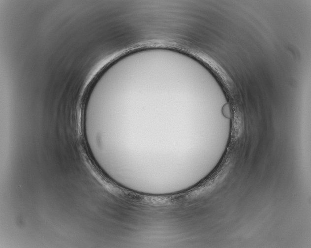 X0000111190886200907011007