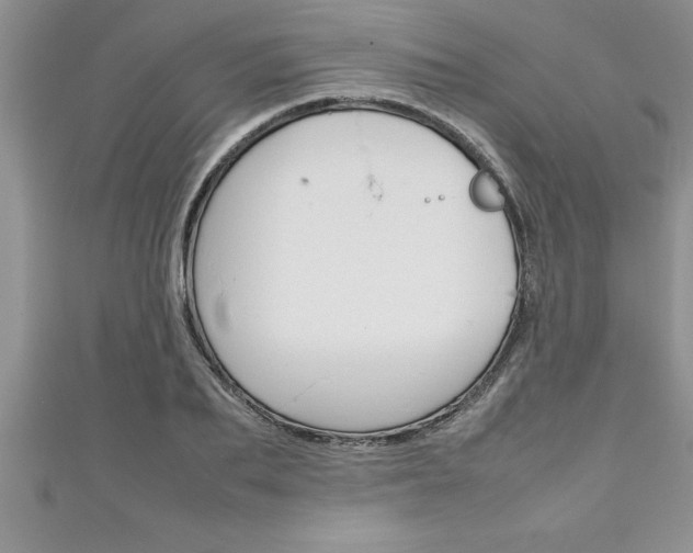 X0000111190887200907011007