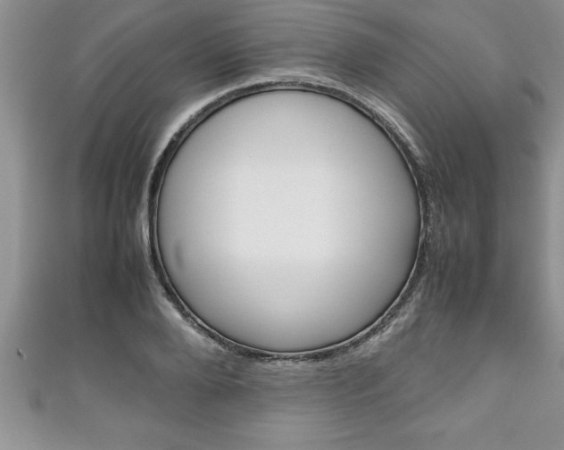X0000111190888200907011006
