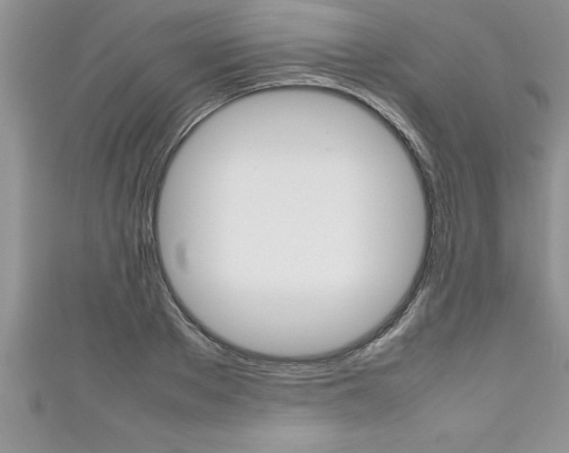 X0000111190889200907011006