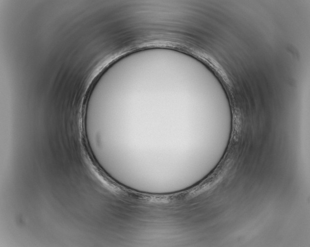 X0000111190890200907011006