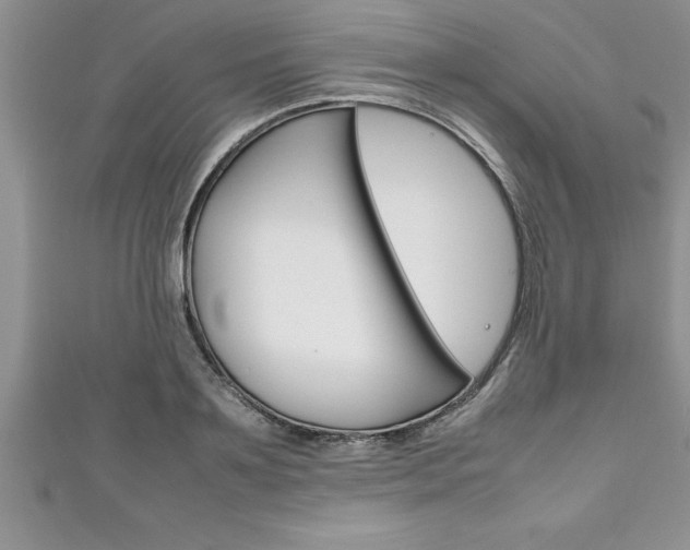 X0000111190891200907011006