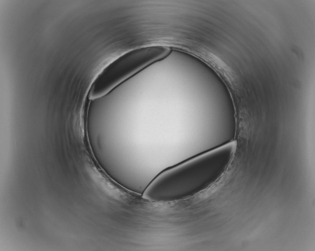 X0000111190892200907011006