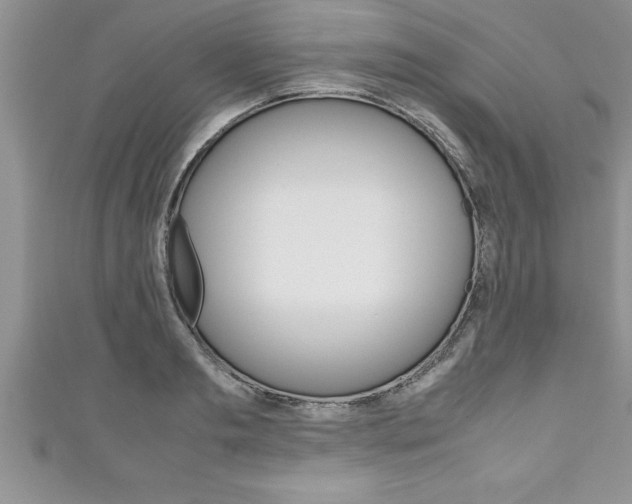 X0000111190893200907011006