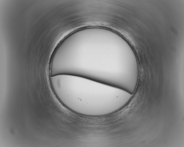 X0000111190895200907011006