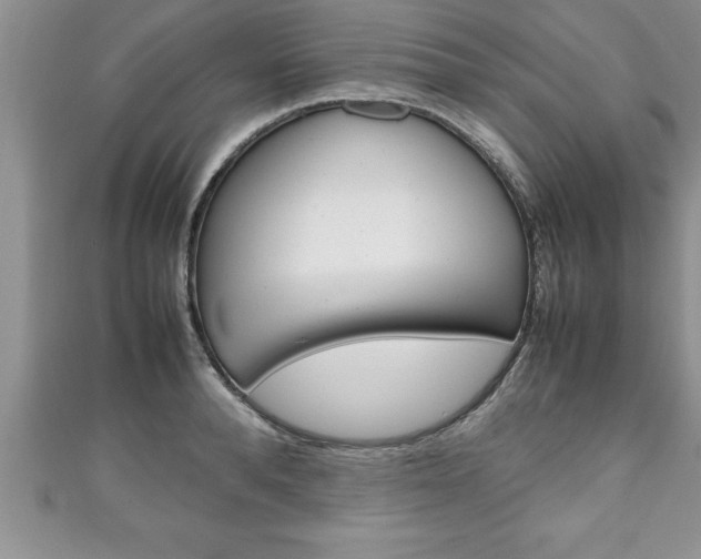 X0000111190896200907011006