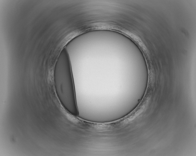 X0000111190897200907011006