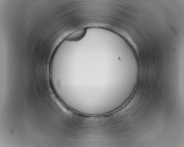 X0000111190898200907011006