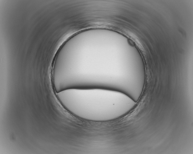 X0000111190899200907011006