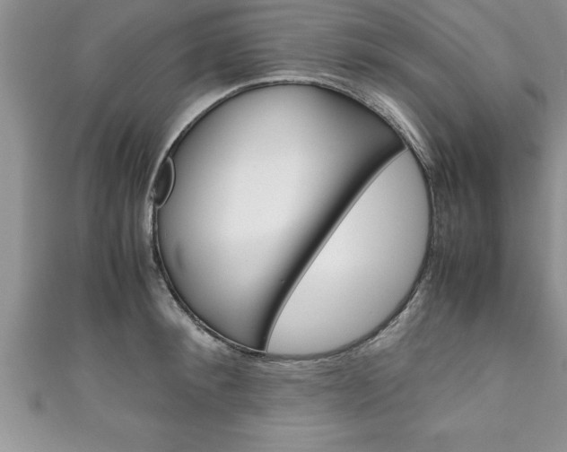 X0000111190900200907011006