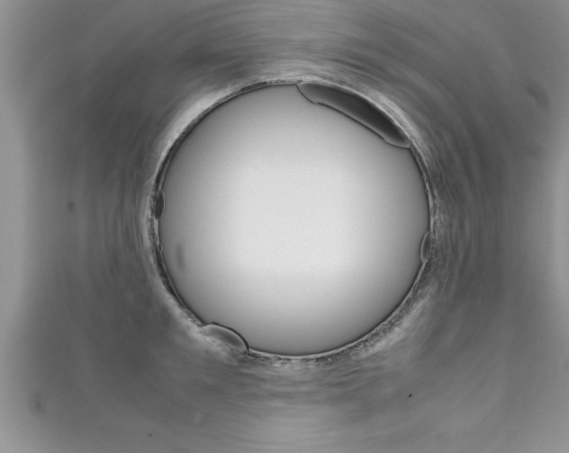 X0000111190901200907011006