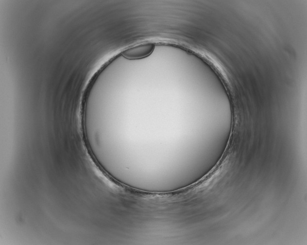 X0000111190902200907011006