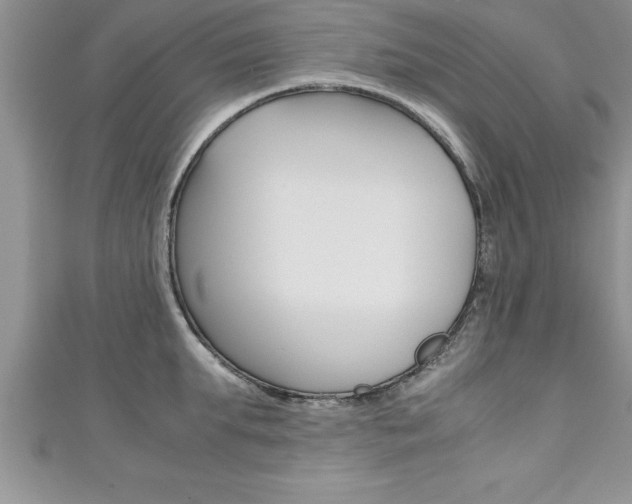X0000111190903200907011006