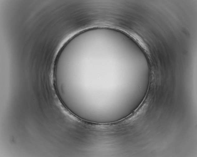 X0000111190904200907011006