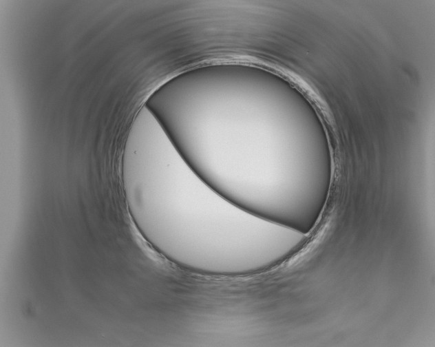 X0000111190905200907011006